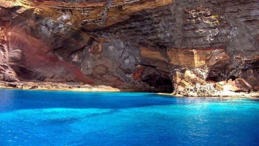 Desertas Islands Cruise with Lunch