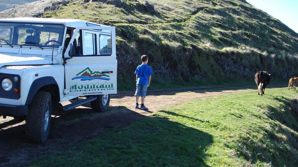 Young boy outside of a jeep on a dirt road near on Madeira Island