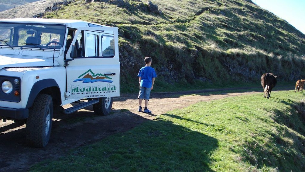 Young boy outside of a jeep on a dirt road near on Madeira Island