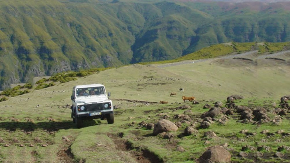 Jeep on a lush green field on Madeira Island