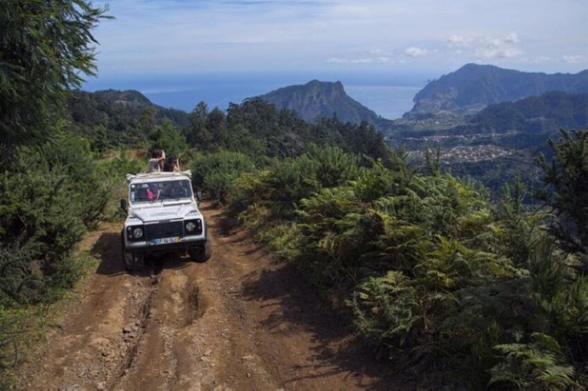 Levada Walking Tour & Jeep Safari Expedition