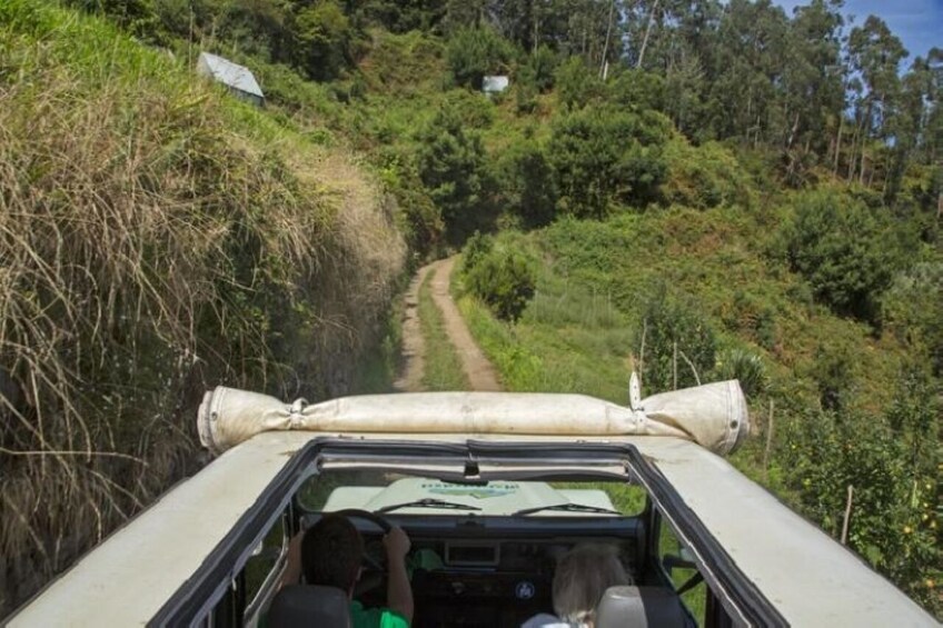 Levada Walking Tour & Jeep Safari Expedition