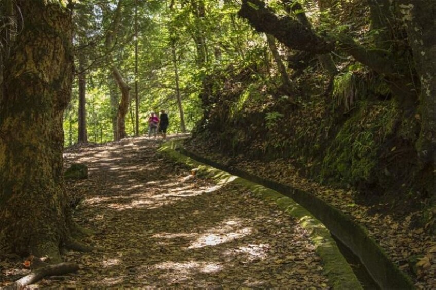 Levada Walking Tour & Jeep Safari Expedition