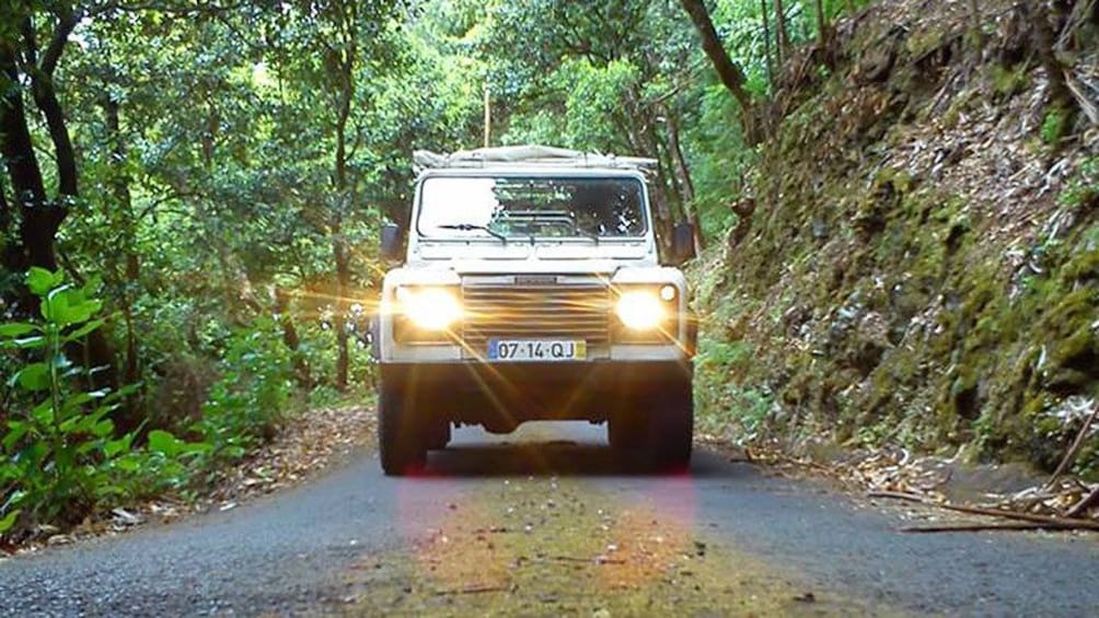 Jeep on a road through the forest on Madeira Island