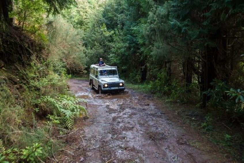 Off-Road Enchanting North Jeep Safari