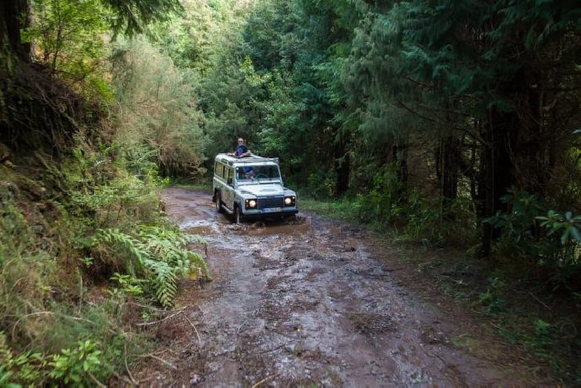 Off-Road Enchanting North Jeep Safari