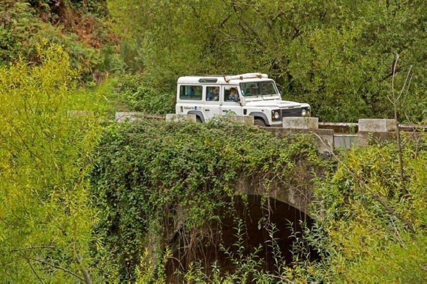 Southern Coast 4x4 & Walking Combo Half-Day Tour
