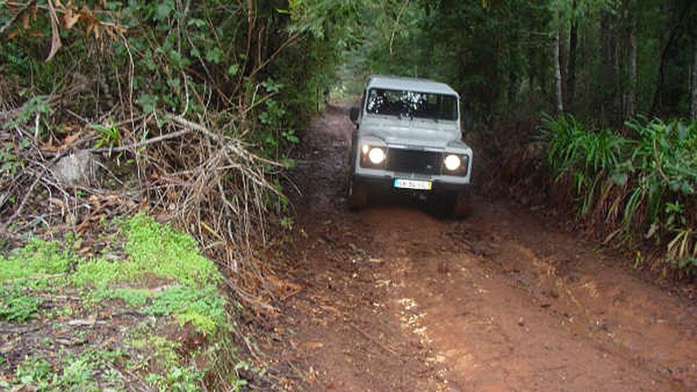 Jeep on a muddy road through the trees on Madeira Island