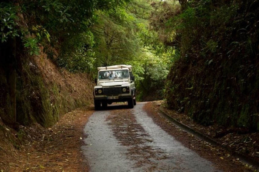 Southern Coast 4x4 & Walking Combo Half-Day Tour