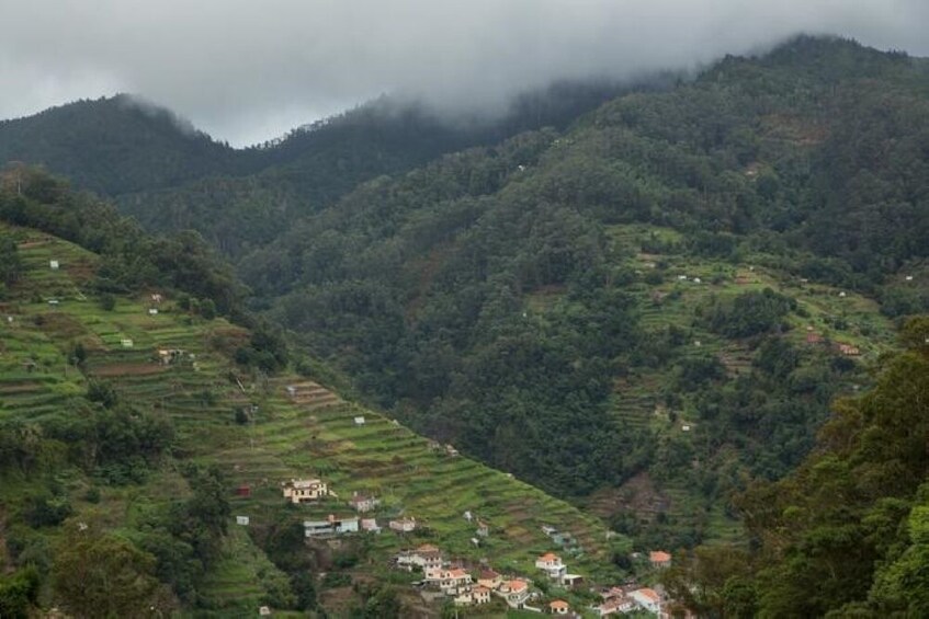 Southern Coast 4x4 & Walking Combo Half-Day Tour