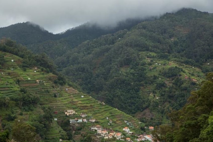 Southern Coast 4x4 & Walking Combo Half-Day Tour