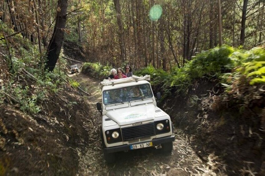 Best of the South Full-Day 4x4 Tour