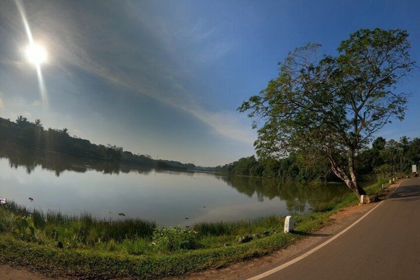 Thalangama Wetland Cycling Tour from Colombo