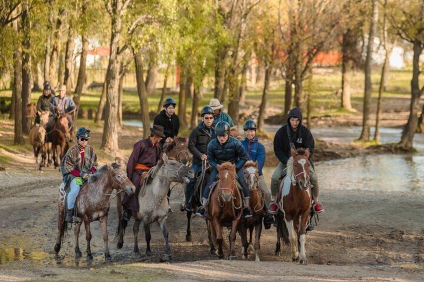 Terelj National Park Morning Horseback Ride