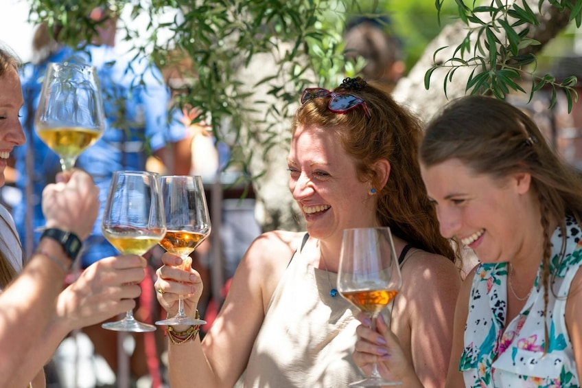 Mt Vesuvius & Vineyard, Lunch & Wine Tasting from Sorrento