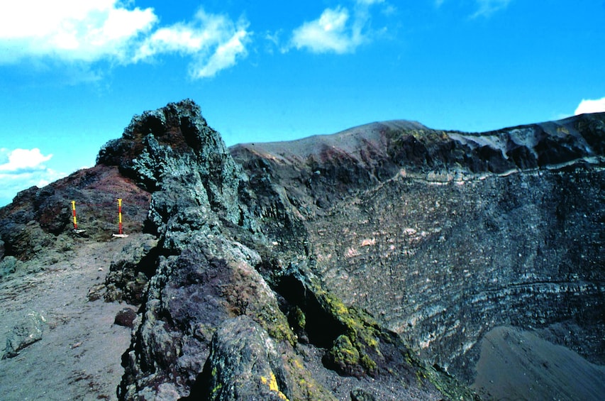 Mount Vesuvius & Vineyard, Lunch & Wine Tasting