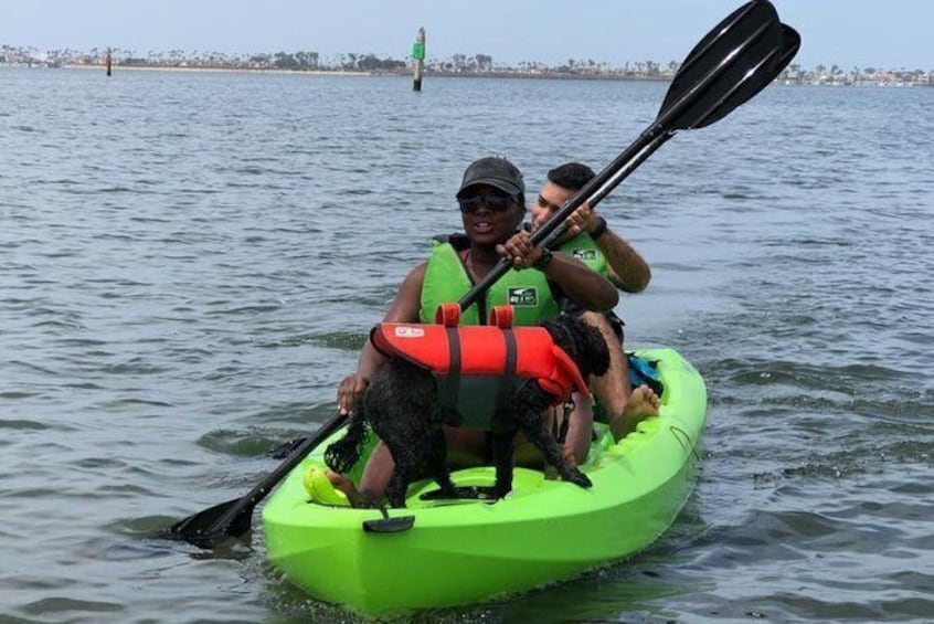Show item 5 of 5. Eco Kayak Tour of the San Diego Bay