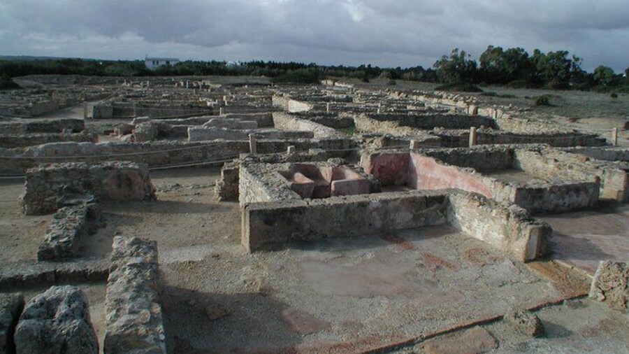 Cap Bon Guided Day Tour from Tunis