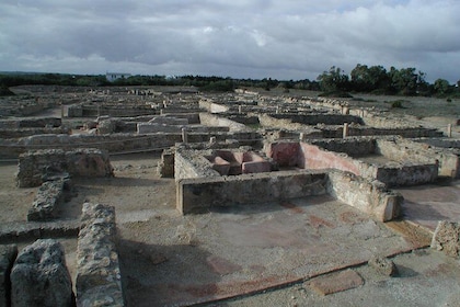 Cap Bon Guided Day Tour from Tunis