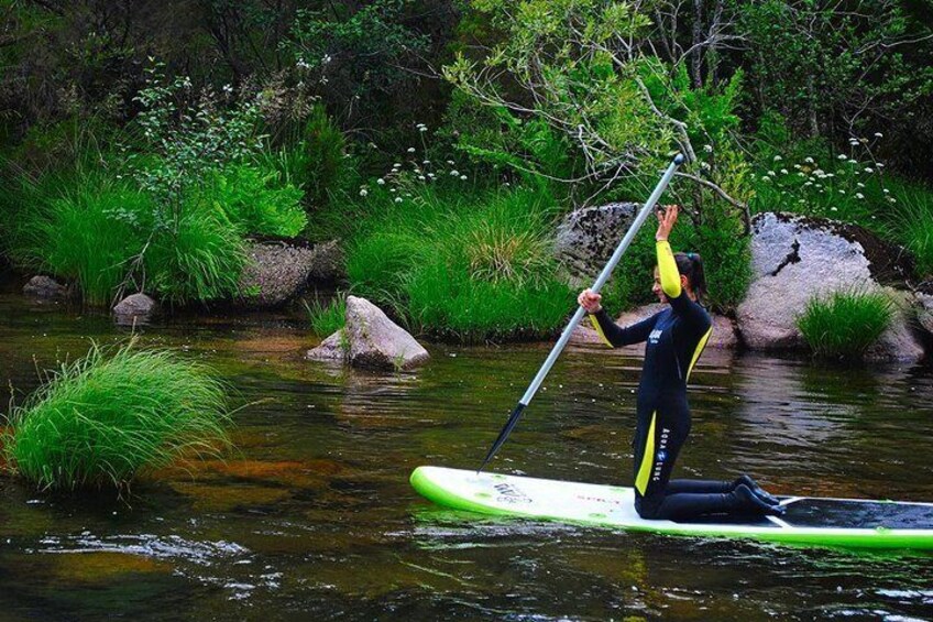 Star paddle