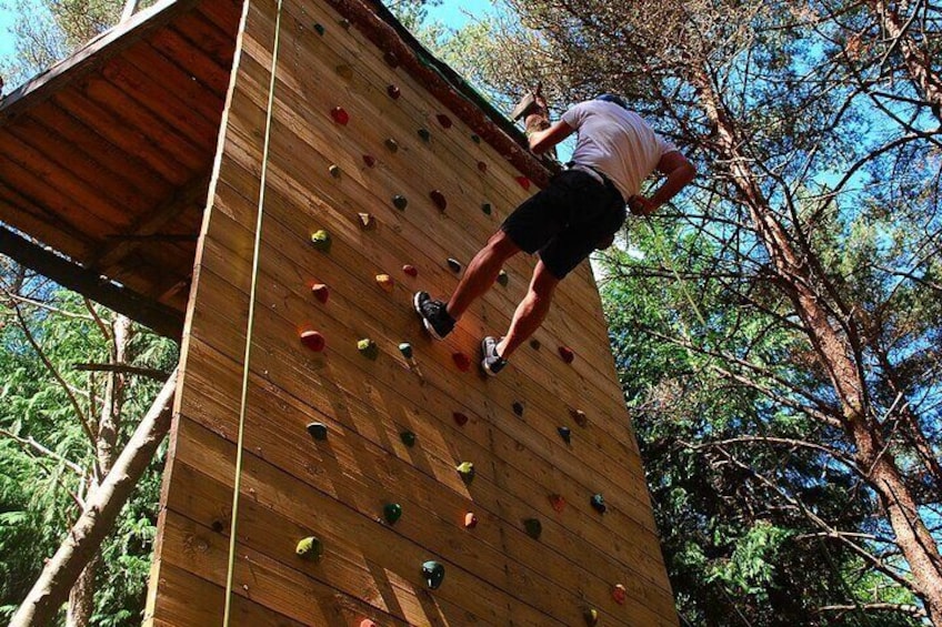 Multi-activities - Arboring + Rapel + Climbing + Slide