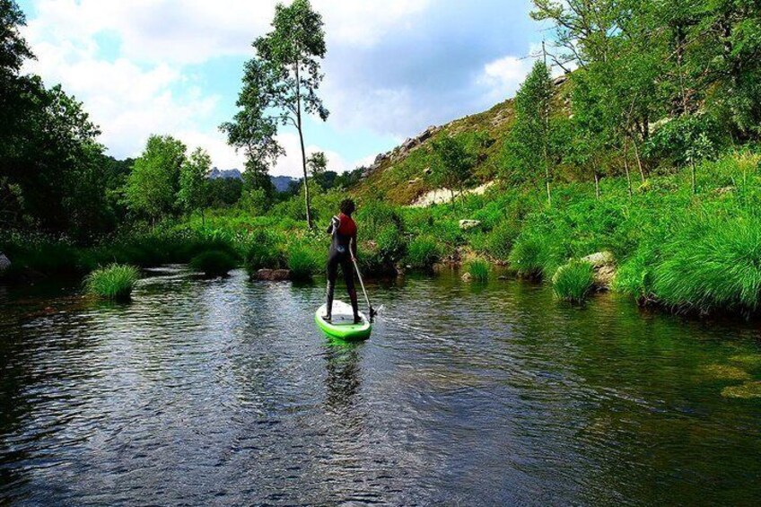 Star paddle