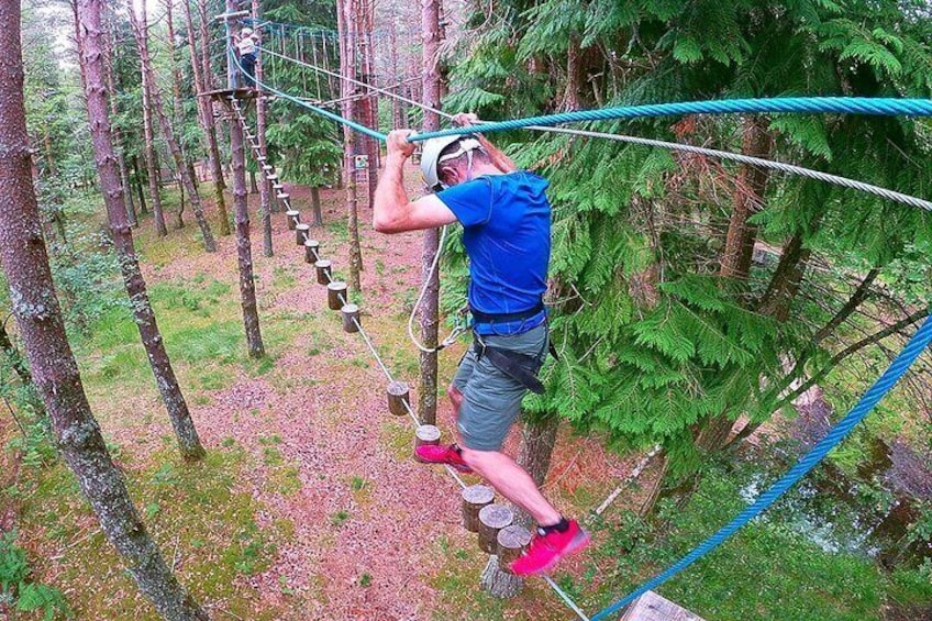 Multi-activities - Arboring + Rapel + Climbing + Slide