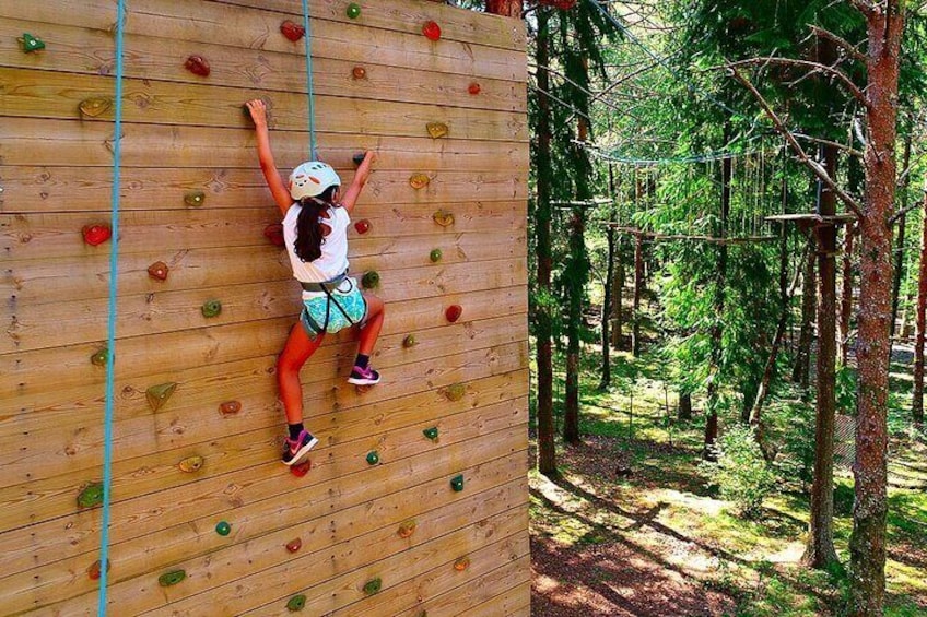 Multi-activities - Arboring + Rapel + Climbing + Slide