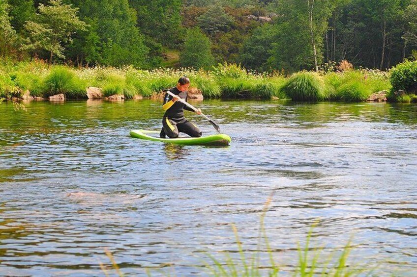 Star paddle