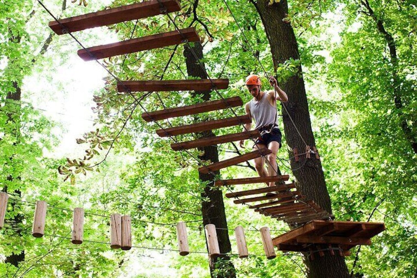 Multi-activities - Arboring + Rapel + Climbing + Slide