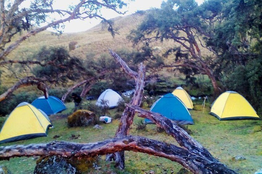 Camping tour Cajas N.P.