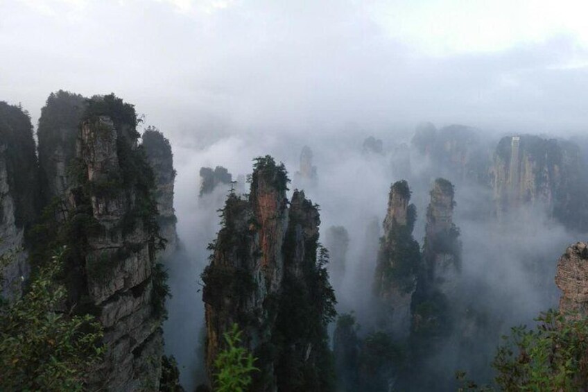 Zhangjiajie national forest park 