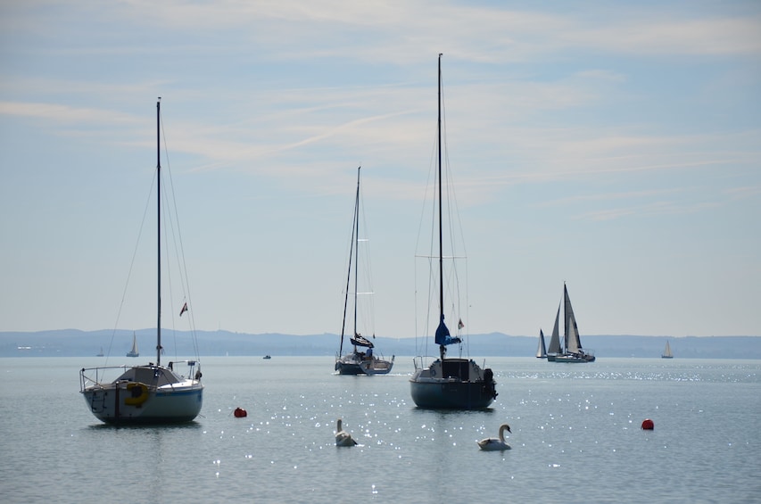 Herend Porcelain Manufactory & Lake Balaton Excursion