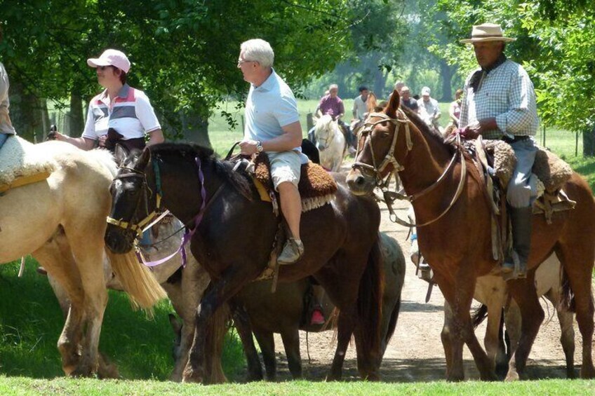 Gaucho Day with Estancia and Areco town