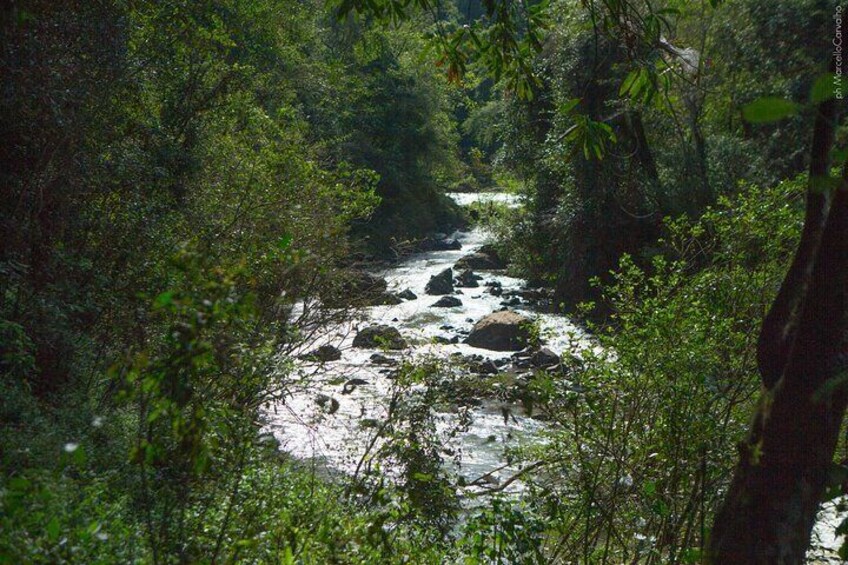 Guided Expedition with Canoeing and Waterfalls in Iguaçu