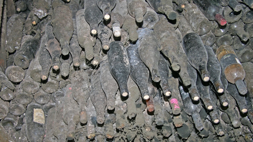 Ancient, dust covered wine bottles from a winery in Etyek