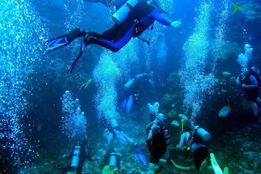 Scuba Diving