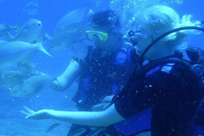 Scuba Diving