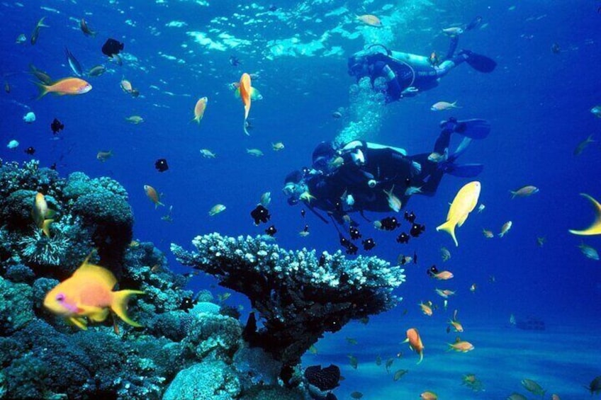 SCUBA DIVE: Kallithea's Underwater Exploration