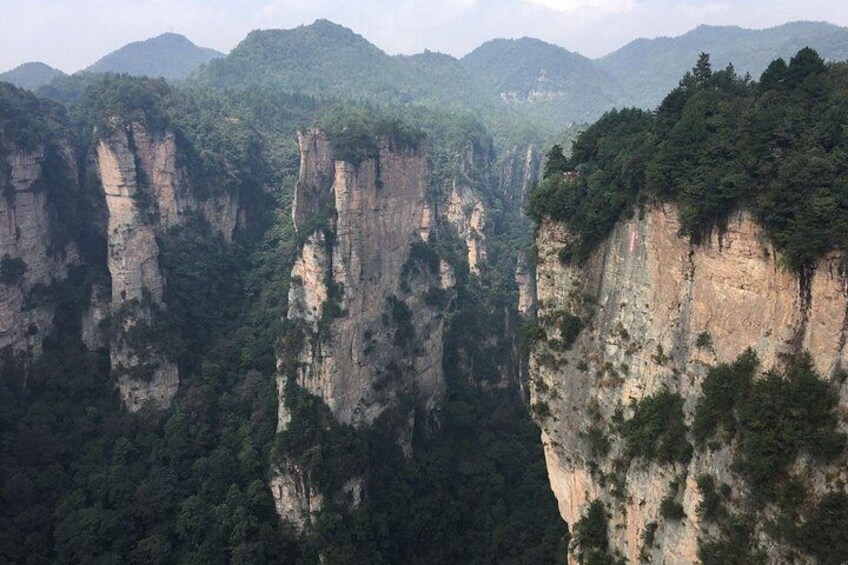 Private Day Trip to Zhangjiajie National Forest Park