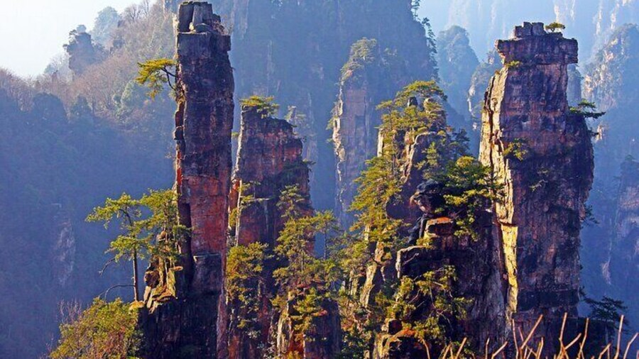 1-Day Private Tour to ZJJ National Forest Park & Avatar Mountain