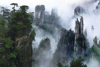 1 Day Trip to Zhangjiajie National Forest Park & Avatar Mountain