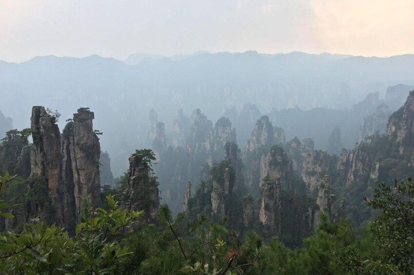 Private Day Trip to Zhangjiajie National Forest Park