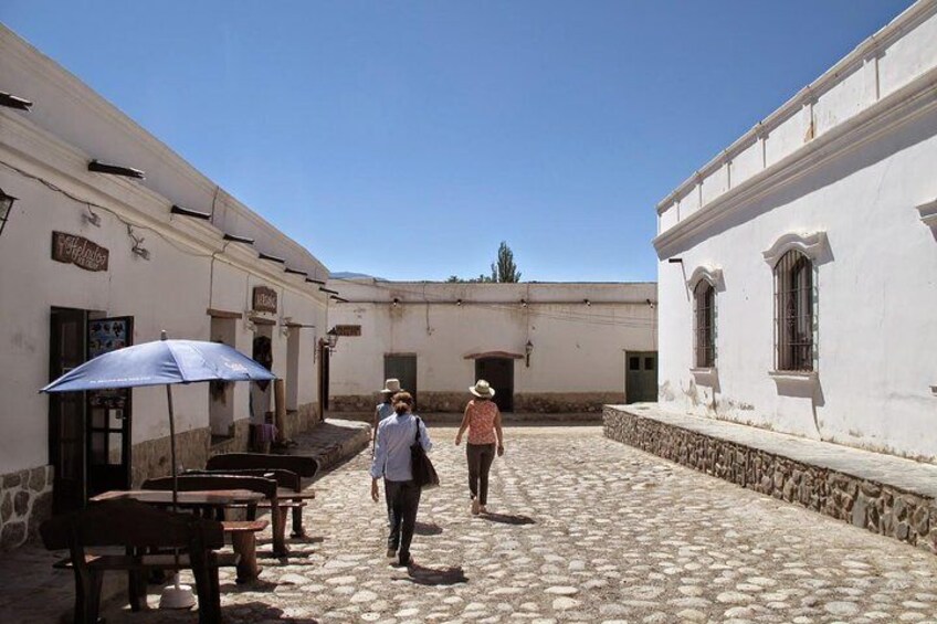 Full-day Cachi and Los Cardones National Park from Salta