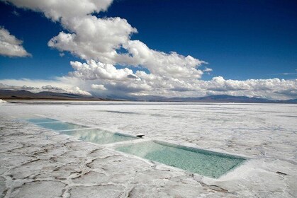 Salinas Grandes 和 Purmamarca：萨尔塔首都全日游