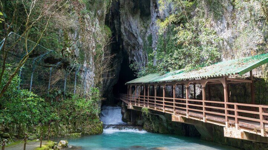 Yamaguchi Private Customizable Full Day Tour