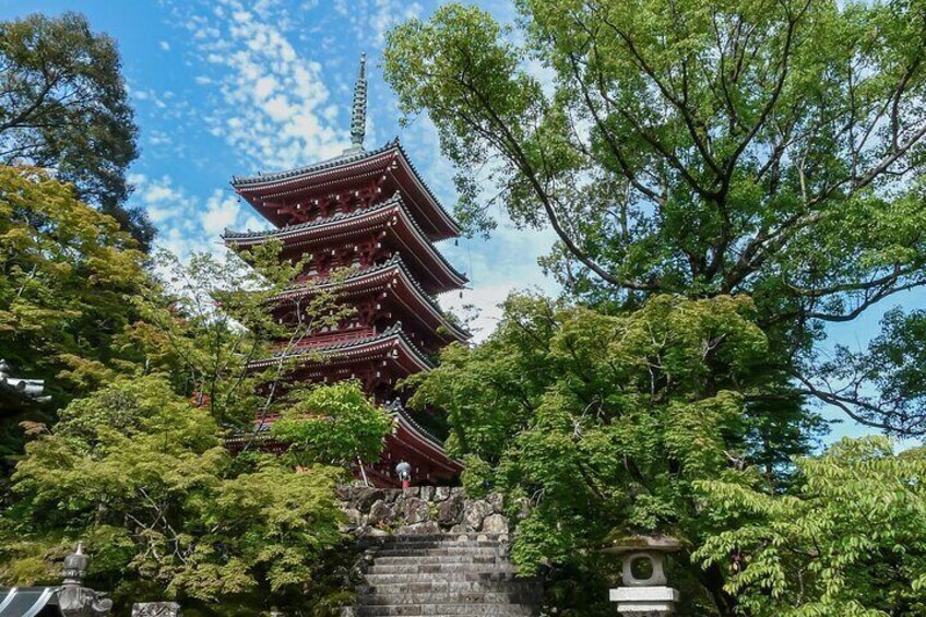 Yamaguchi Private Customizable Full Day Tour