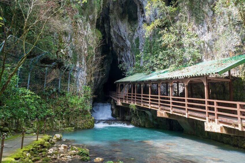 Yamaguchi Private Customizable Half Day Tour