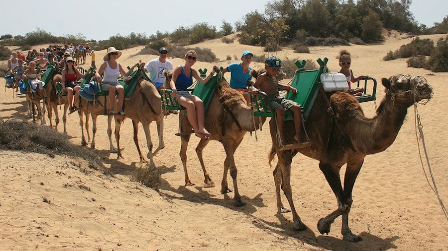People on camels in Gran Canaria