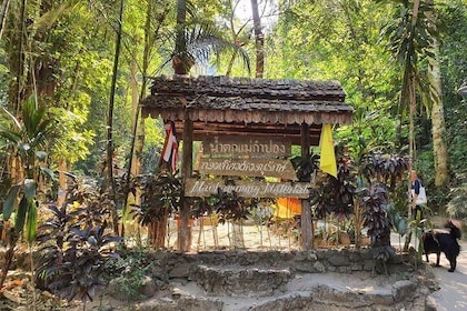 Lost in Chiang Mai - Secret Village, Hot Spring & Waterfall - A Cultural Th...
